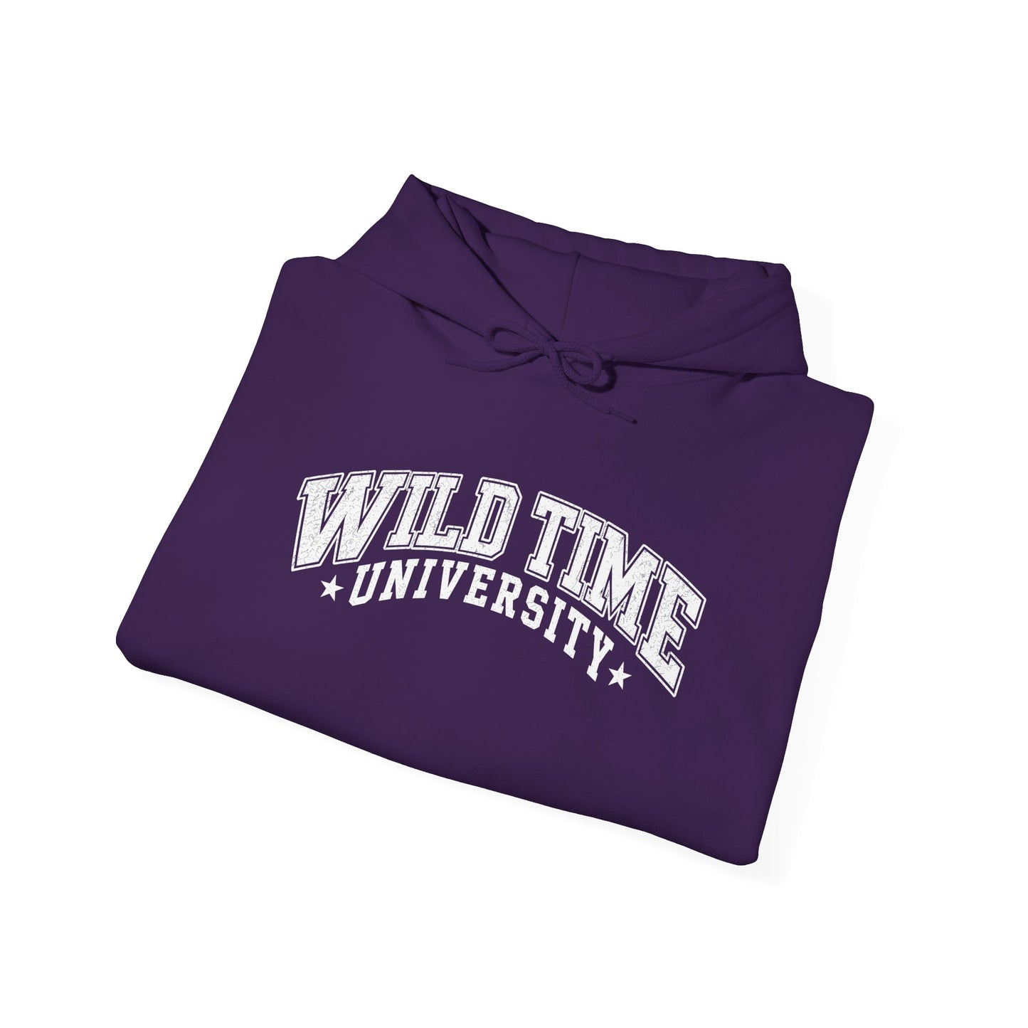 Wild Time™ University Unisex Hoodie - College Inspired Graphic Sweatshirt for the Rebel at Heart