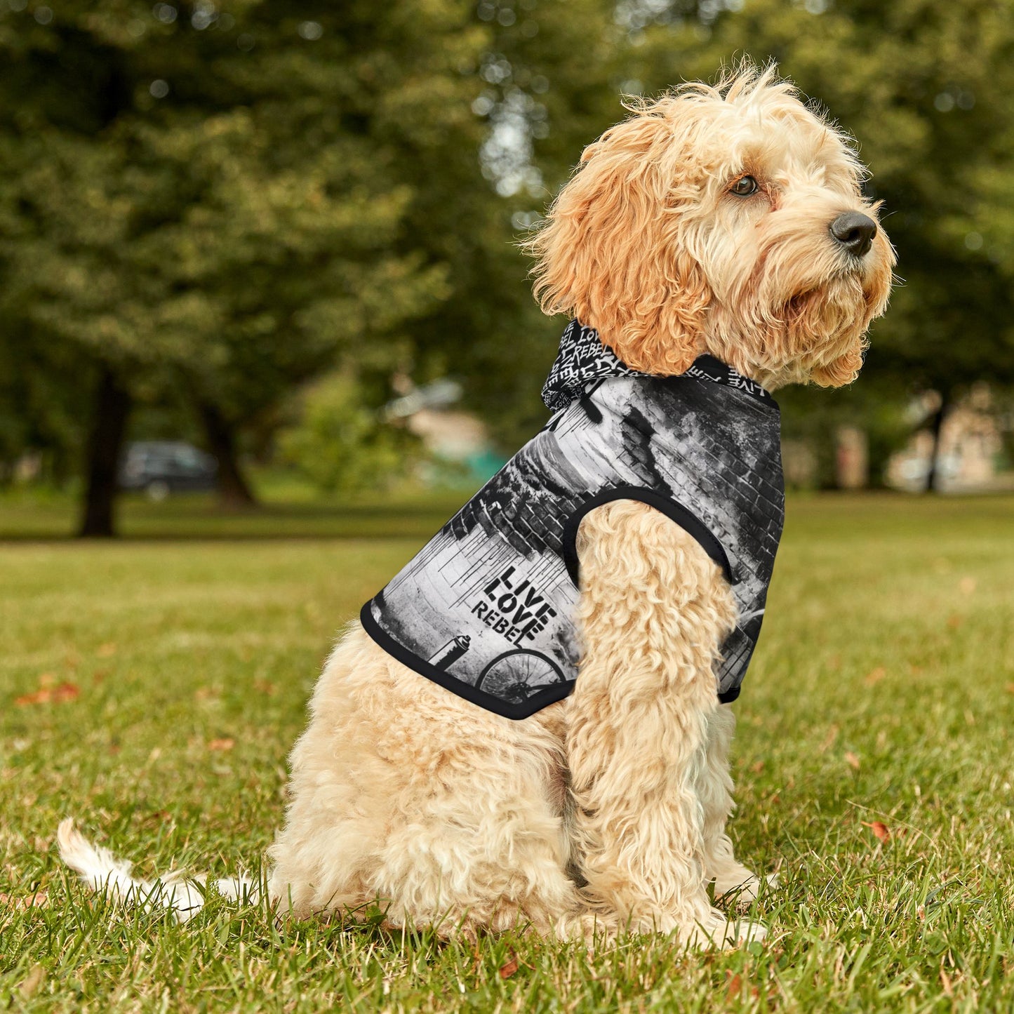 Pet Hoodie - 'Royal Rebel' Street Art Graphic Dog & Cat Hoodie