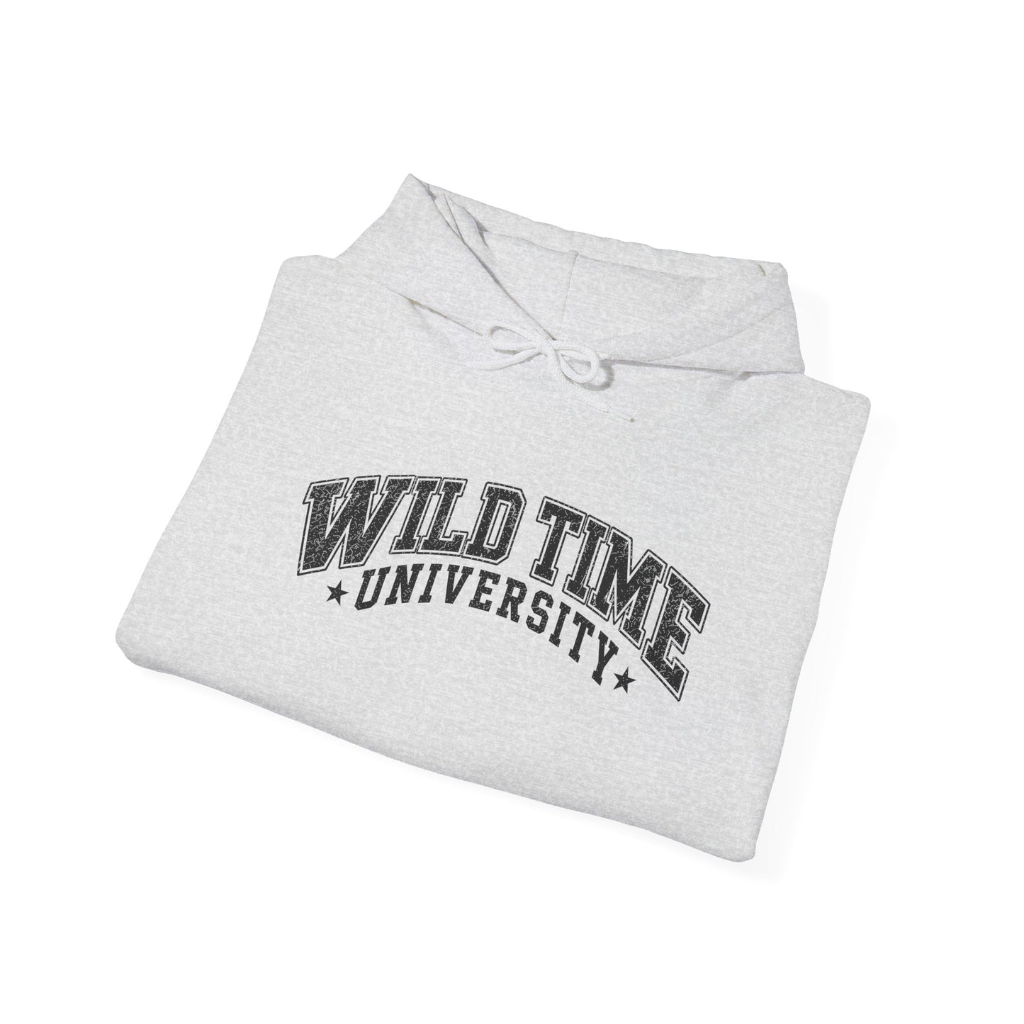 Wild Time™ University Unisex Hoodie - College Inspired Graphic Sweatshirt for the Rebel at Heart