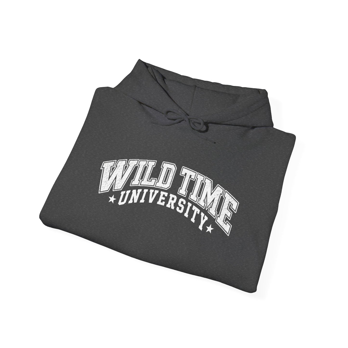 Wild Time™ University Unisex Hoodie - College Inspired Graphic Sweatshirt for the Rebel at Heart