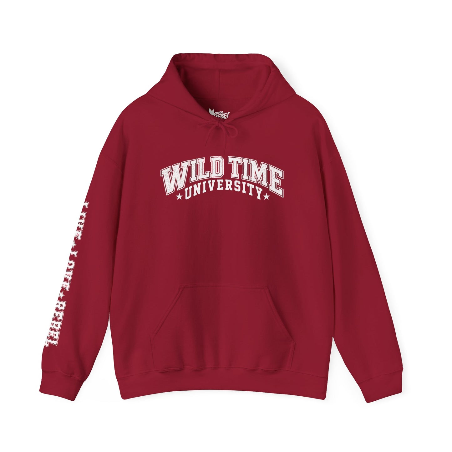 Wild Time™ University Unisex Hoodie - College Inspired Graphic Sweatshirt for the Rebel at Heart