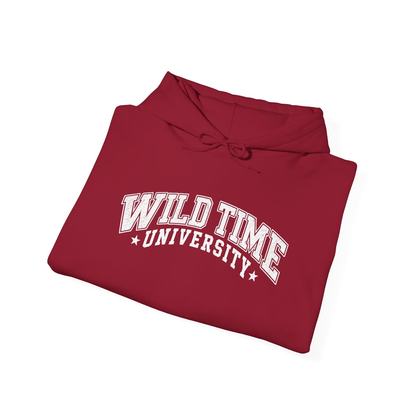 Wild Time™ University Unisex Hoodie - College Inspired Graphic Sweatshirt for the Rebel at Heart