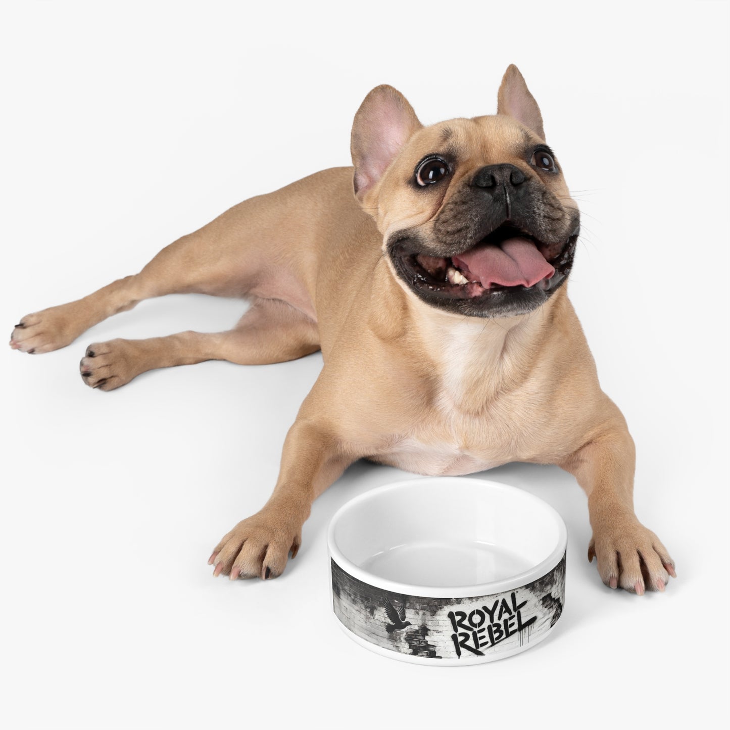 Royal Rebel® Pet Bowl - Stylish Ceramic Bowl for Trendy Pets